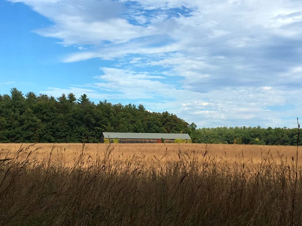 Northwest Park & Nature Center image