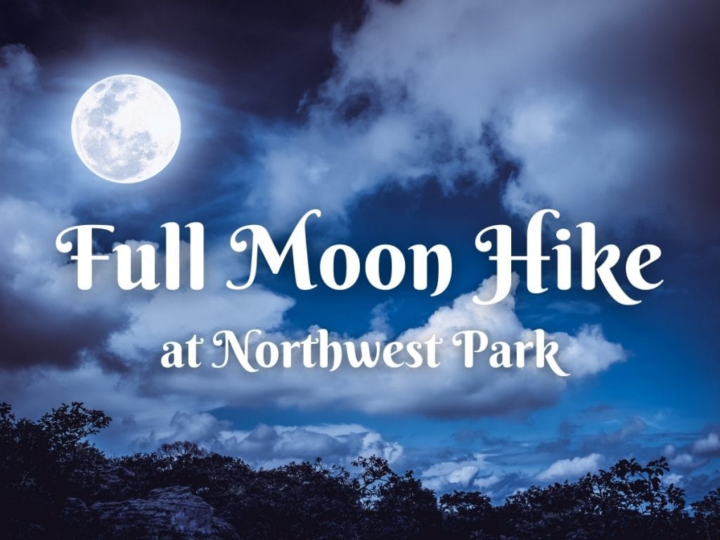 Full Moon Hikes (Ages 12+) image