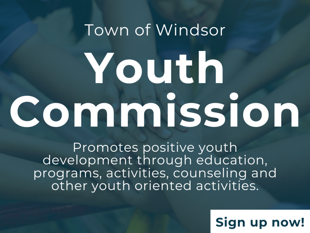 Youth Commission image