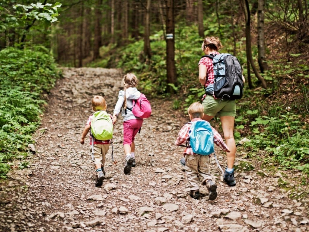 Wee Wanderers (Ages 2-5) image