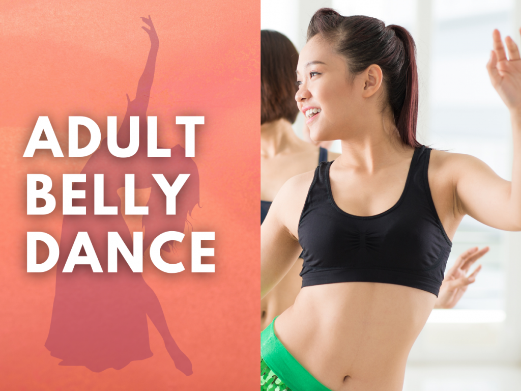 Adult Beginner Belly Dance image