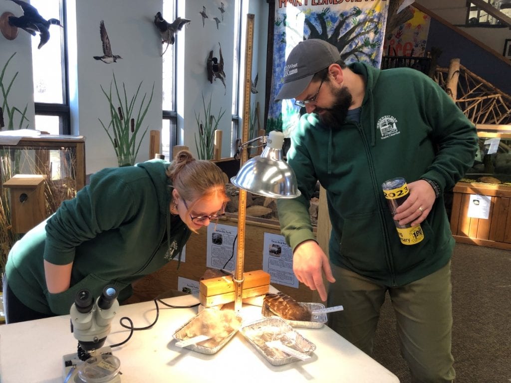 Discovery Days (All Ages) image