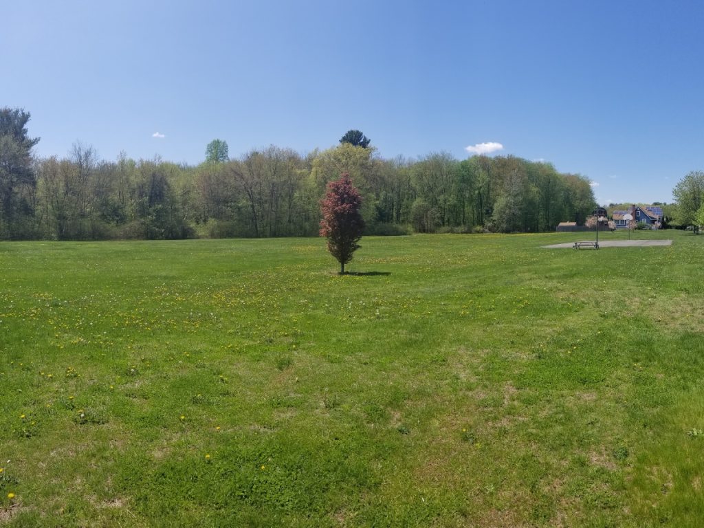 Lancaster Park image