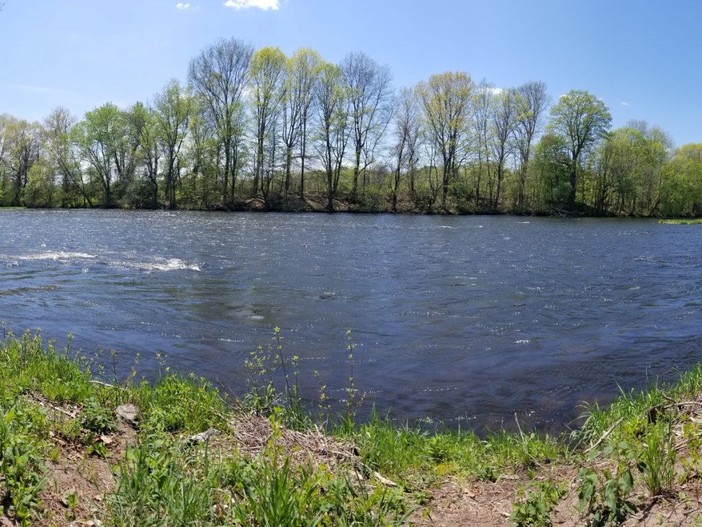 River Street Park image