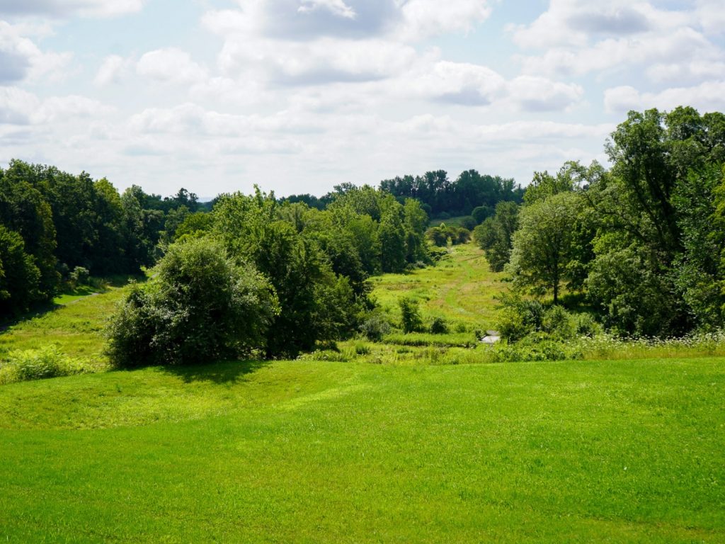 Millbrook Open Space image