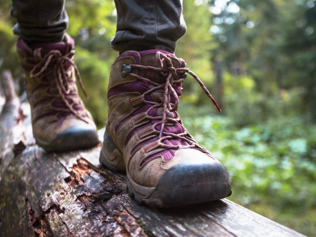 NWP Trail Hike Challenge (All Ages) image